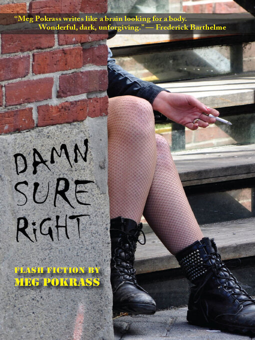 Title details for Damn Sure Right by Meg Pokrass - Available